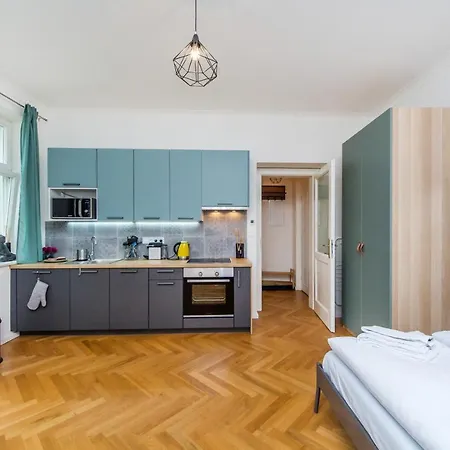 Apartment Slavikova 18